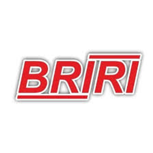 Logo: BRIRI GmbH Riepenhausen Maschinenbau