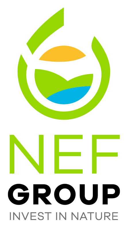 NEF Förderungs GmbH